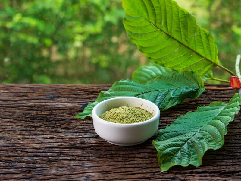 Green Jongkong Kratom powder from Vital Blend Kratom in Tucson Arizona